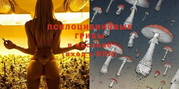 соль ск Наволоки