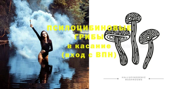 спиды Няндома