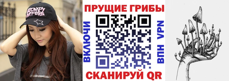 Псилоцибиновые грибы Cubensis  Октябрьский 